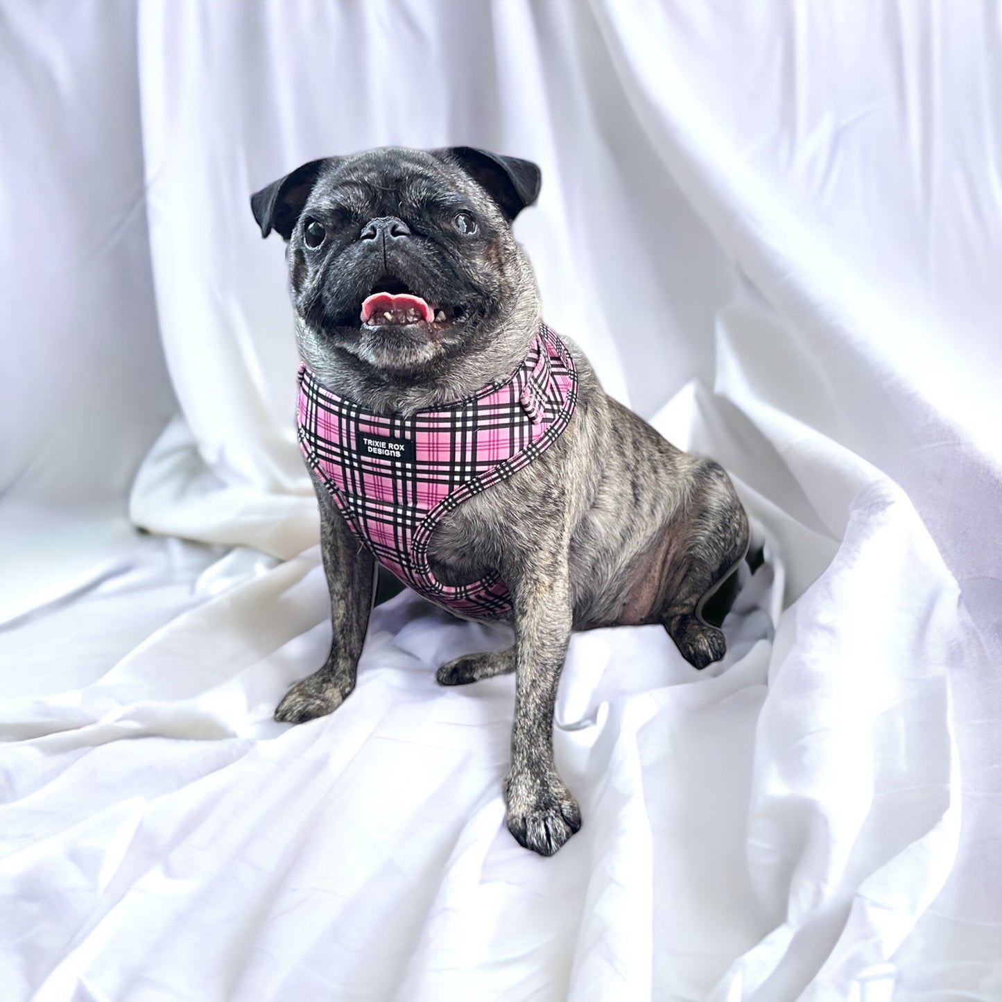 Soft Neoprene dog harness: Harness only and Harness and Leash set option - 9 print options available