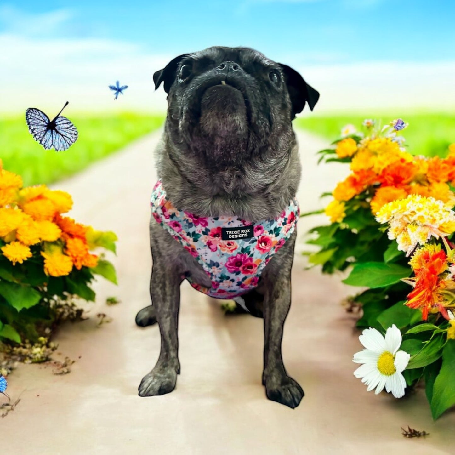 Soft Neoprene dog harness: Harness only and Harness and Leash set option - 9 print options available