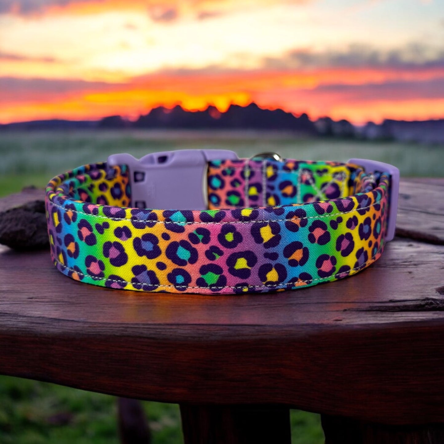 90βs Rainbow Cheetah print Dog collar, handmade side release dog collar