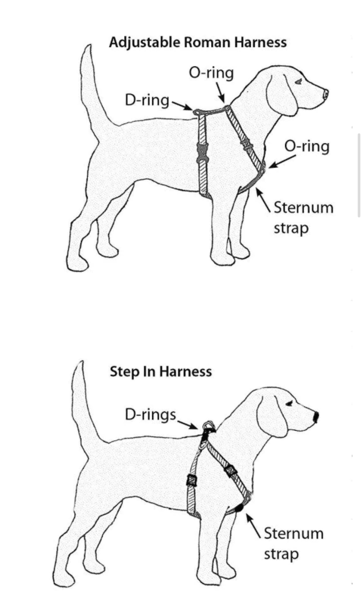 Boba tea dog harness, matching dog harnesss and leash set, standard roman dog harness, step in dog harness, boba tea