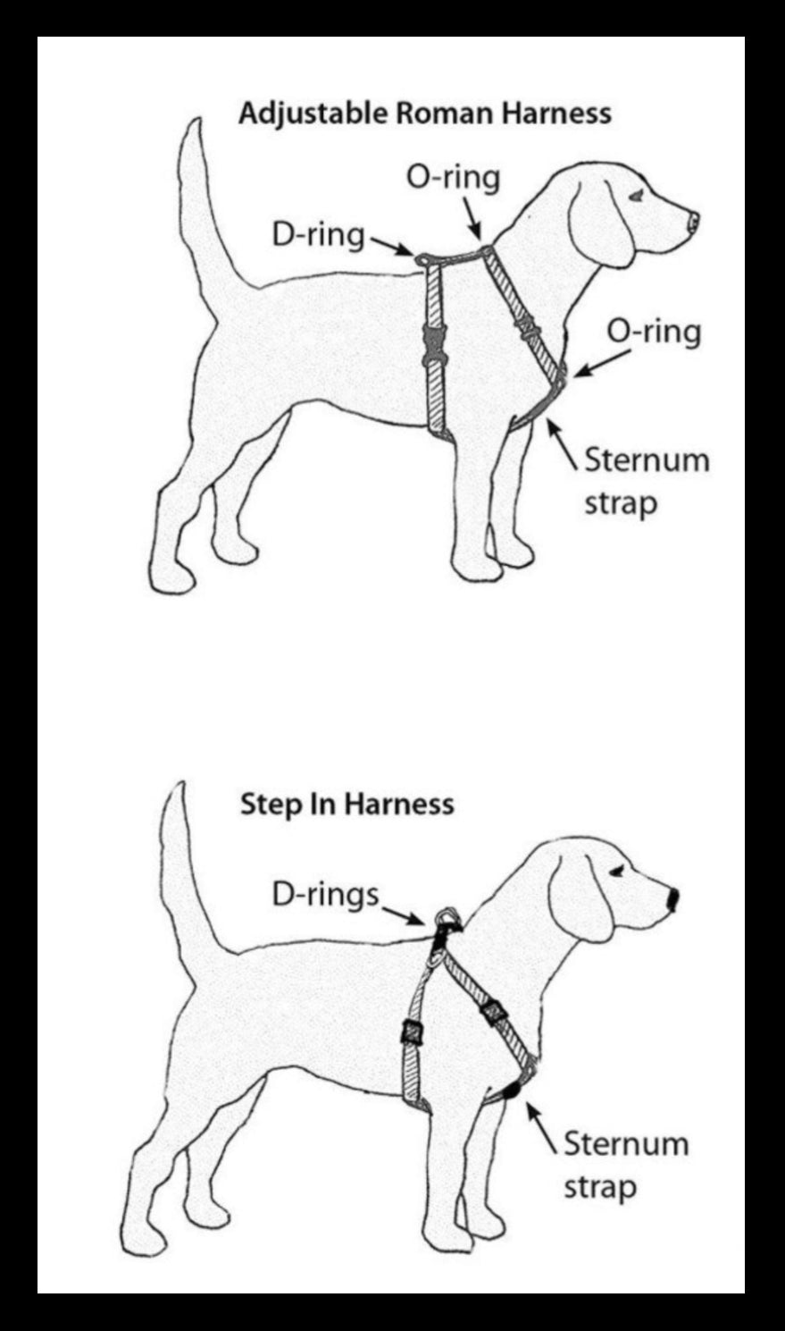 Rainbow dog harness and leash set, pet harness and matching leash, dog harness and matching leash, standard roman harness, step in harness, pet harness
