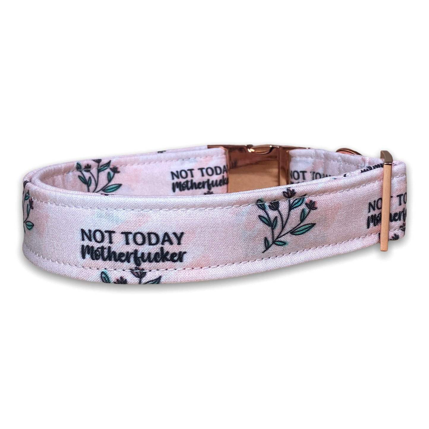 Not today motherfucker dog collar, funny dog collar, obscene, metal hardware, side release, adjustable, washable, eco friendly, fuck, blush