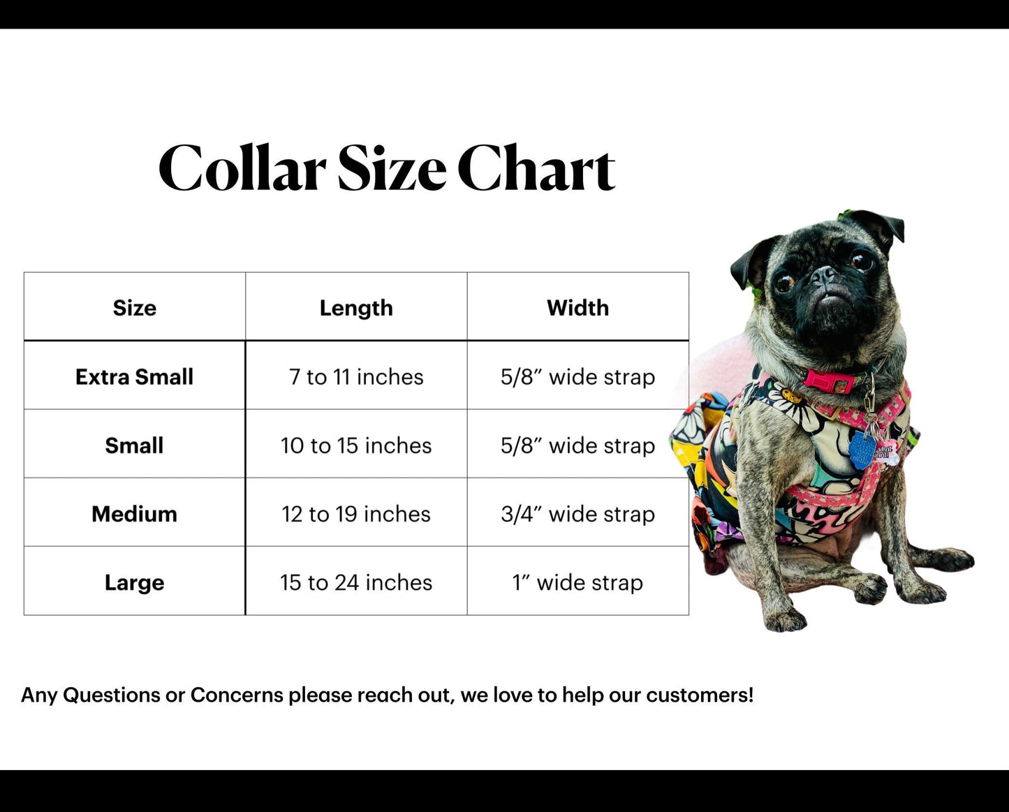 Waterproof dog collar, dog collar, lavender dog collar, buckle dog collar, waterproof dog collar, Adjustable waterproof Dog Collar, Hexa