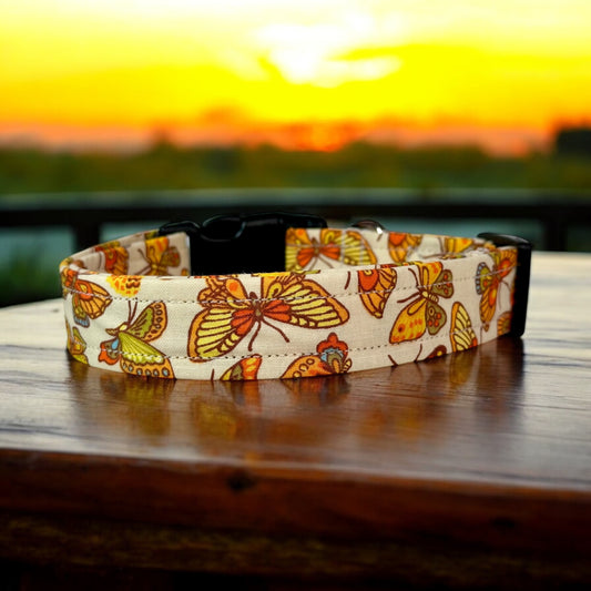 Butterfly Dog collar, handmade side release dog collar