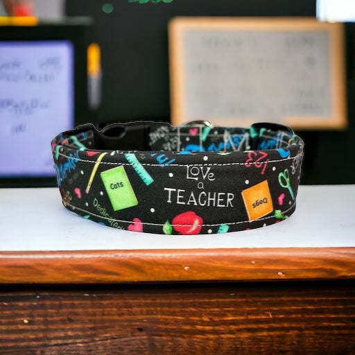 Teacher dog collar - handmade side release dog collar