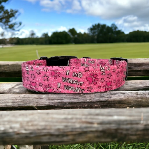 I do what I want dog collar - handmade side release dog collar