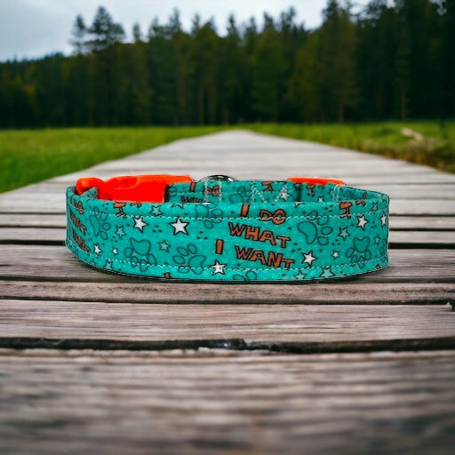 I do what I want dog collar - handmade side release dog collar