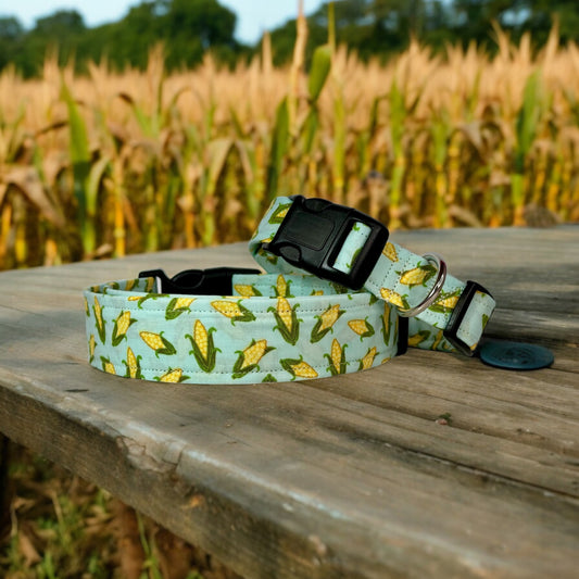 Corn Dog collar, handmade side release adjustable dog collar