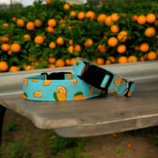 Orange fruit dog collar, handmade side release adjustable dog collar