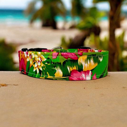 Tropical floral dog collar, handmade side release and adjustable