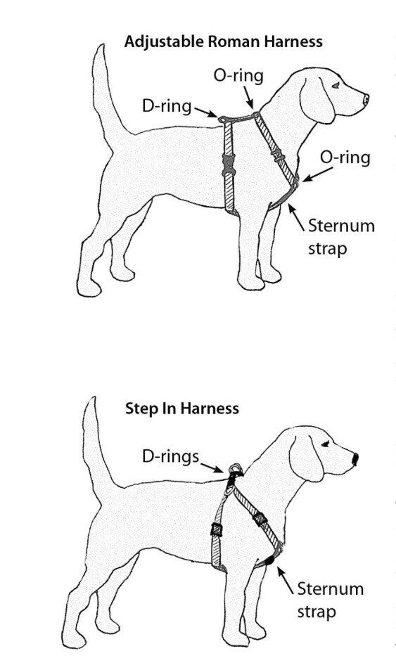 Dog harness, Harness and leash, step in harness, adjustable dog harness, dog halter, dog harness set, leash, roman dog harness, dog halter