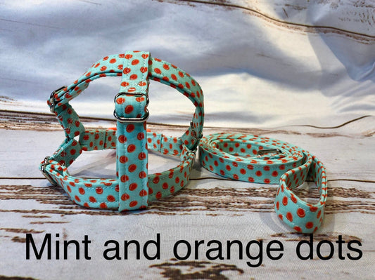 Dog harness, Harness and leash,  matching leash, step in harness, standard harness, leash, harness set, mint green, orange, polka dots