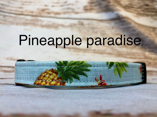 Pineapple Dog Collar, male dog collar, boy dog collar, martingale collar, martingale, adjustable collar, buckle collar, pineapple dog collar