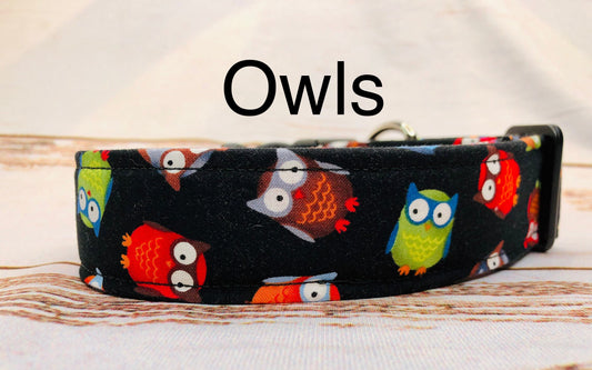 Dog Collar, girl dog collar, boy dog collar, owl pet collar, fabric, adjustable collar, buckle dog collar, owl dog collar, owls