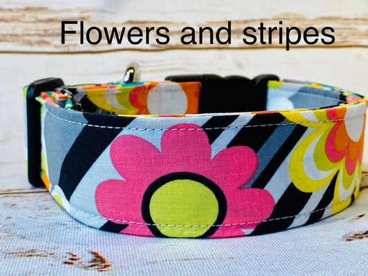 Funky floral dog collar, fun dog collar, adjustable collar, washable collar, eco friendly, side release collar, girl dog collar, flowers