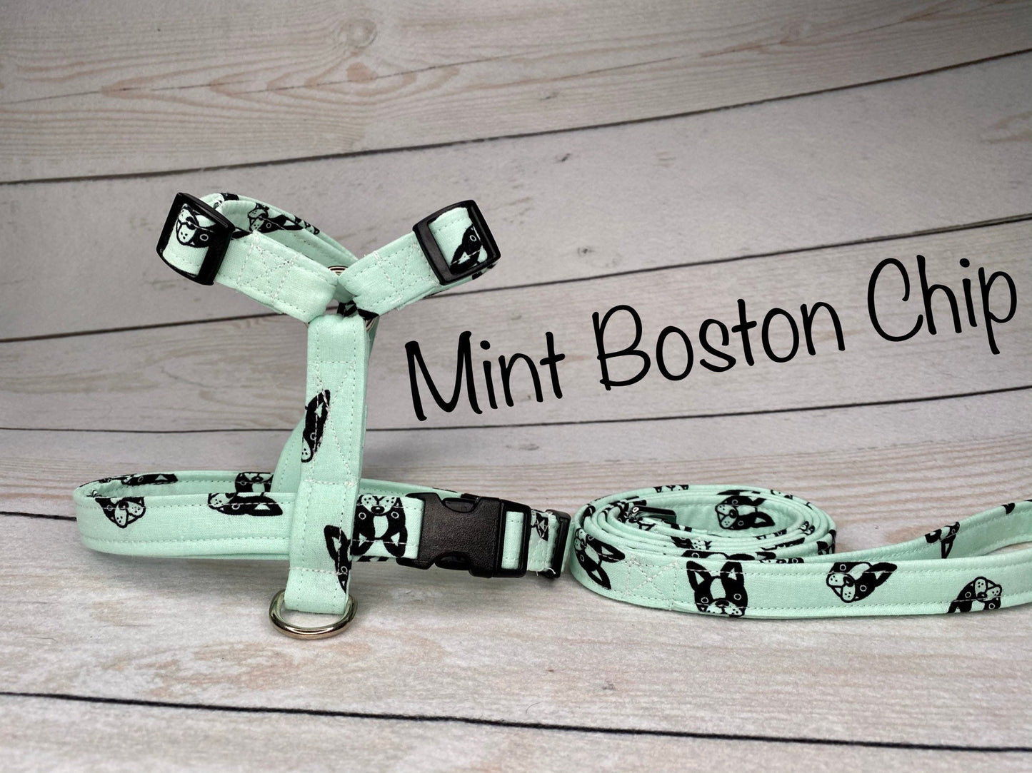 Dog harness, Harness and leash set, step in harness, standard harness, matching leash, adjustable harness, boston terrier, mint green