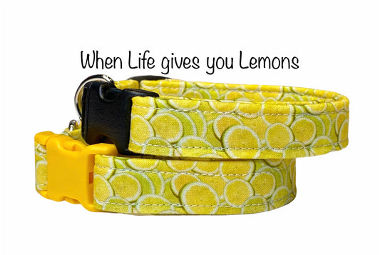 Lemon dog collar, dog collar, yellow dog collar, fabric dog collar, lemons, washable dog collar, food dog collar, cute dog collar, fruit