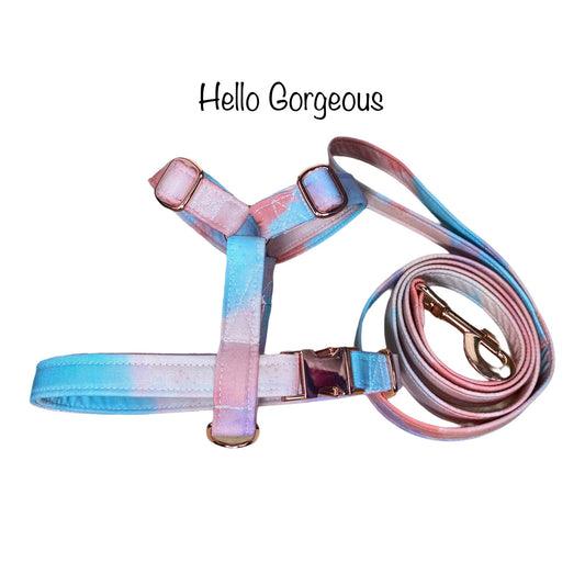 Dog harness, Dog Harness and leash set, step in harness, standard Roman harness, rose gold, rose gold hardware, Ombre pastel dog harness