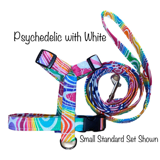 Psychedelic dog harness and leash set, standard Roman dog harness, step in dog harness, matching leash, rainbow, adjustable dog harness