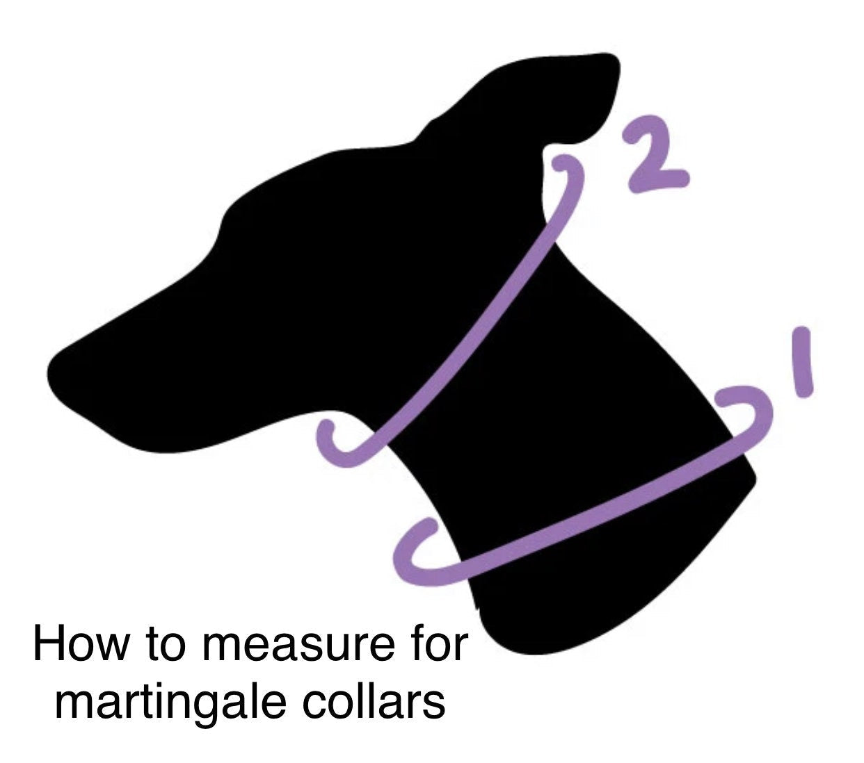 Fruit Salad martingale dog collar