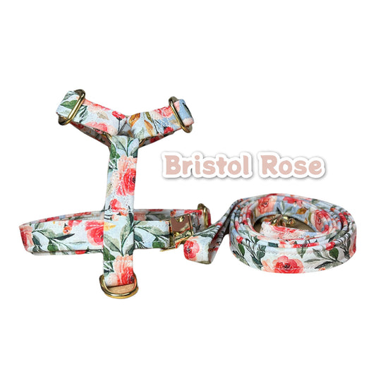 Floral dog harness and leash set, step in dog harness, matching leash, standard Roman harness, dog harness, floral dog harness, brass